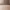 Mocha / Sand Gray