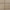 Ochre Brown