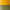 Yellow / Sage Green