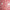 Peony Shagreen