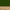 Green / Natural Acoustic