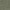 Olive Green Fabric