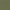 Green Polyurethane Fabric