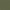 Fern Green