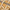 Reales Pattern 02