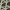 Reales Pattern 03