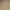 Soft Gold Inner Shade