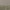 Grey / Grey Texture