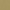 Tamba Yellow