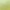 Linden Tree Green