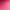 Fuchsia Rose