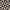 Pattern 2