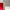 Neutrals / Red