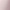 Pale Rose
