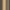 Matte Gold