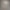 Neutral Gray