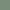 Green Lily