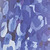 Blue Hydrangea