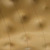 Copper Leaf