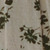 Olive White