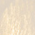 Alabaster Glass