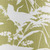 Aviary Moss