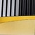 Black / Gold