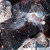 Black Fragmentglass