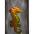 Seahorse