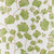 Maiden Fern Green