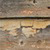 Old Siding Photo Veneer