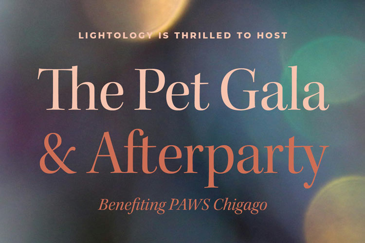 Showroom Event | The Pet Gala: The Pup Crawl & Cat Walk After Party