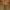 Burled Wood / Antique Brass