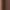 Brushed Copper