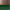 Mocha / Bali Green