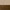 Sabino Beige / Walnut