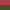 Purple / Olive Green