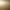 Brass