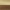 Brushed Brass / Walnut