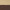 Luxe Gold / Brown