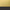 Matte Gold / Matte Black