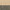 White Oak / Gray