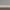 Matte Silver / Light Gray Oak / Greyed Walnut