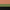 Peach / Reed Green / Black