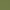 Reed Green