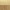 Satin Brass / Honey