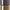 Gold / Iron Grey