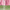 Pink / Mint Green