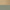 Champagne Bronze / Heritage Green