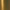 Champagne Stardust
